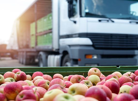 Camión transportando manzanas LOYAL-TRANS